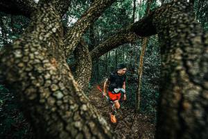 BIB: 
                            <button type="button" onclick="openModal(25393587)" class="btn btn-primary btn-sm float-right btn-popup" data-toggle="modal" data-target=".modal-high-quality">
                        <i class="fas fa-shopping-cart"></i> Add to Cart
                    </button>
                                            <button type="button" onclick="isThisMe(25393587, true)" class="btn btn-success btn-sm float-right btn-popup btn-isme hidden" data-toggle="tooltip" data-placement="bottom" title="นี่คือรูปของคุณใช่ไหม คลิกที่นี่เพื่อเอาเข้าอัลบั้ม">
                        <i class="fas fa-plus"></i> Add to album
                    </button>
                    <button type="button" onclick="isThisMe(25393587, false)" class="btn btn-warning btn-sm float-right btn-popup btn-isnotme hidden">
                        <i class="fas fa-ban"></i> Remove from album
                    </button>